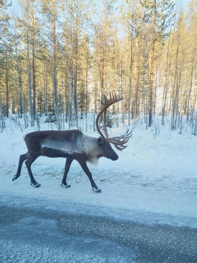 Yllaes Kanerva 105 Äkäslompolo Exteriör bild